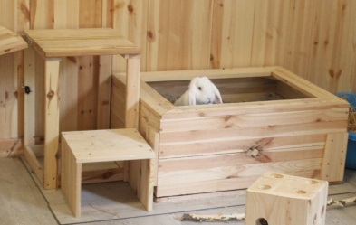 Buddelbox für Kaninchen