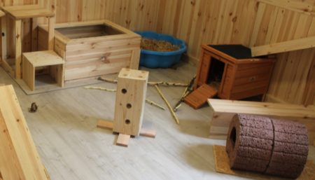 Kaninchenzimmer Aufteilung
