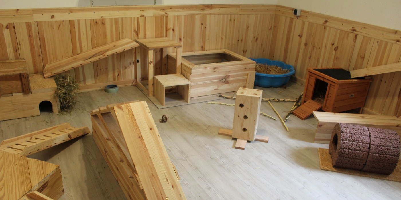 Kaninchenzimmer: Einrichtung und Aufteilung für glückliche Kaninchen