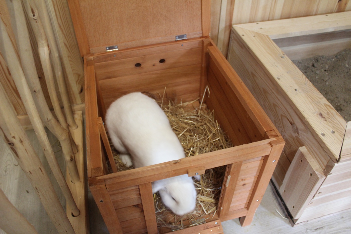 3-in-1 Kaninchentoilette Mit Heu-Futterstation – Edelstahlgitter, Leicht Zu Reinigen Für Kaninchen & Meerschweinchen