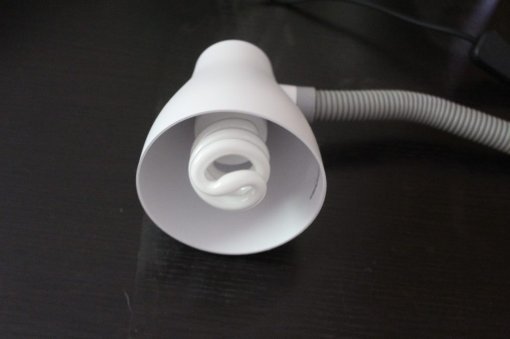 UVB Lampe für Kaninchen