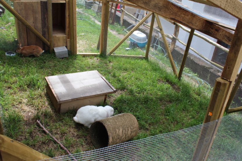 Fabelhafte Kaninchengehege Selber Bauen Bilder
