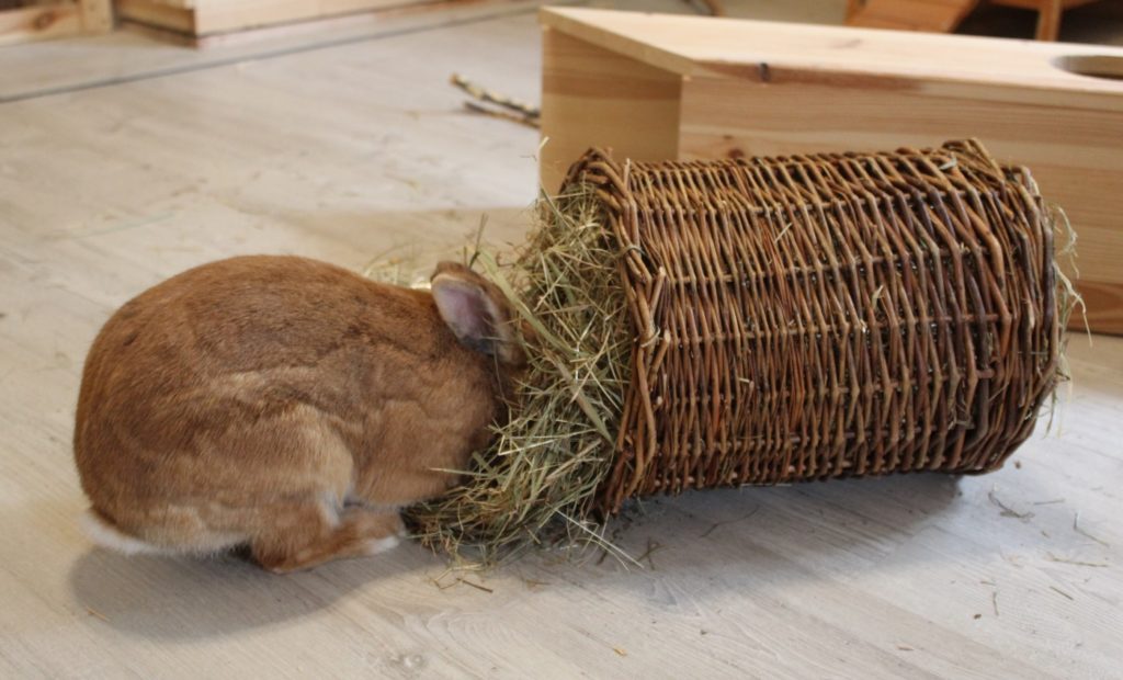 Heutunnel für Kaninchen