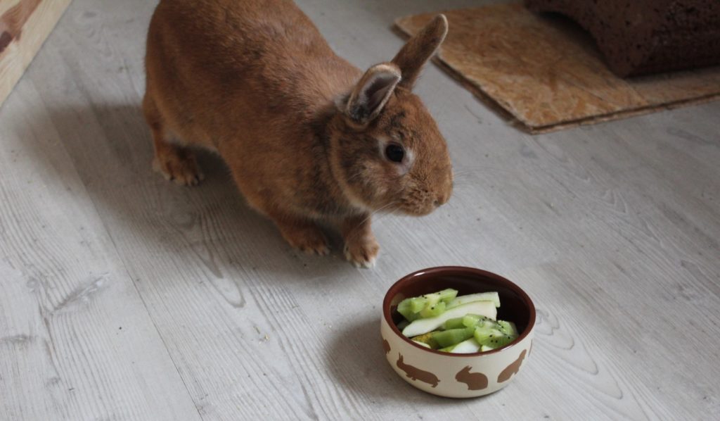 Obst enthält viel Zucker