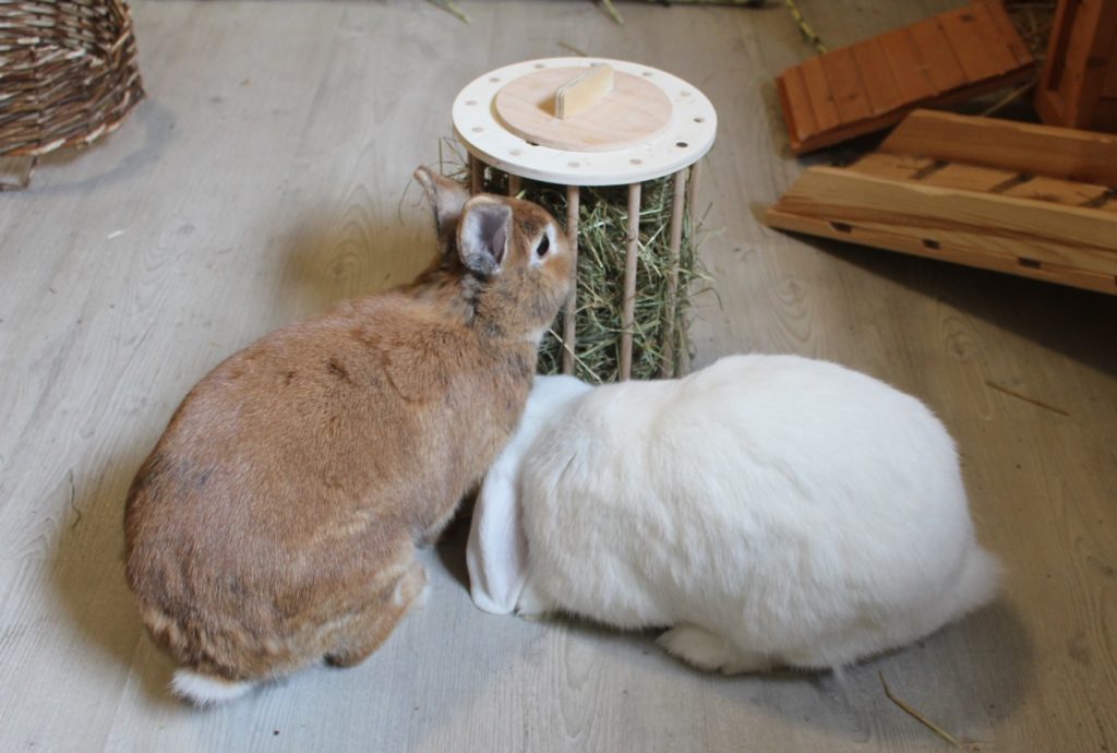 Heuraufe - Nützliches Kaninchenzubehör