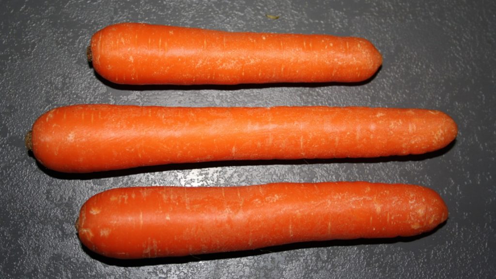 Karotten sind Gemüse-Nebenfutter