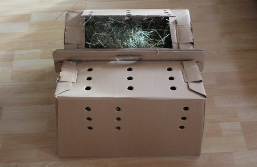 Wie Lange Muss Heu Lagern Bevor Man Es Füttern Kann Heu für Kaninchen: Basisfutter oder als Notfutter im Winter?