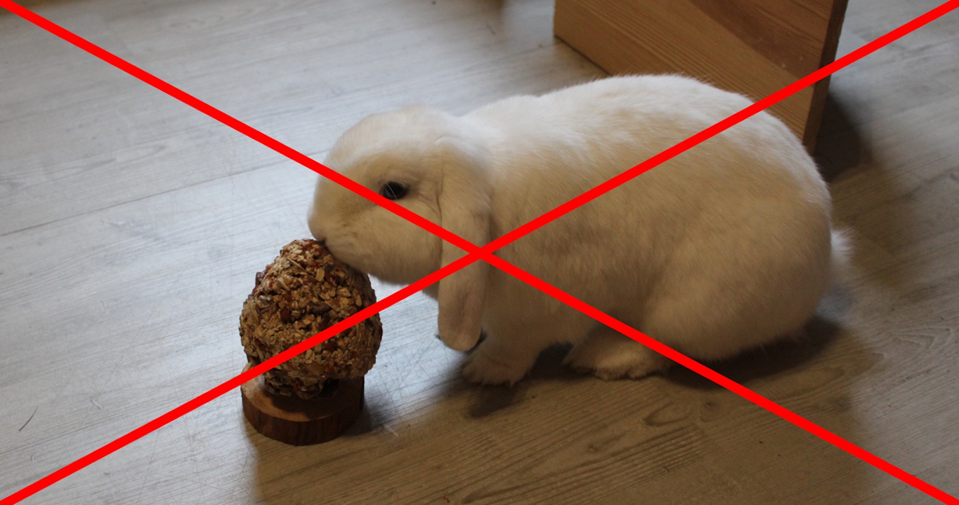 Was Dürfen Kaninchen Fressen Und Was Nicht Liste Was dürfen Kaninchen nicht fressen? - ungeeignetes Futter