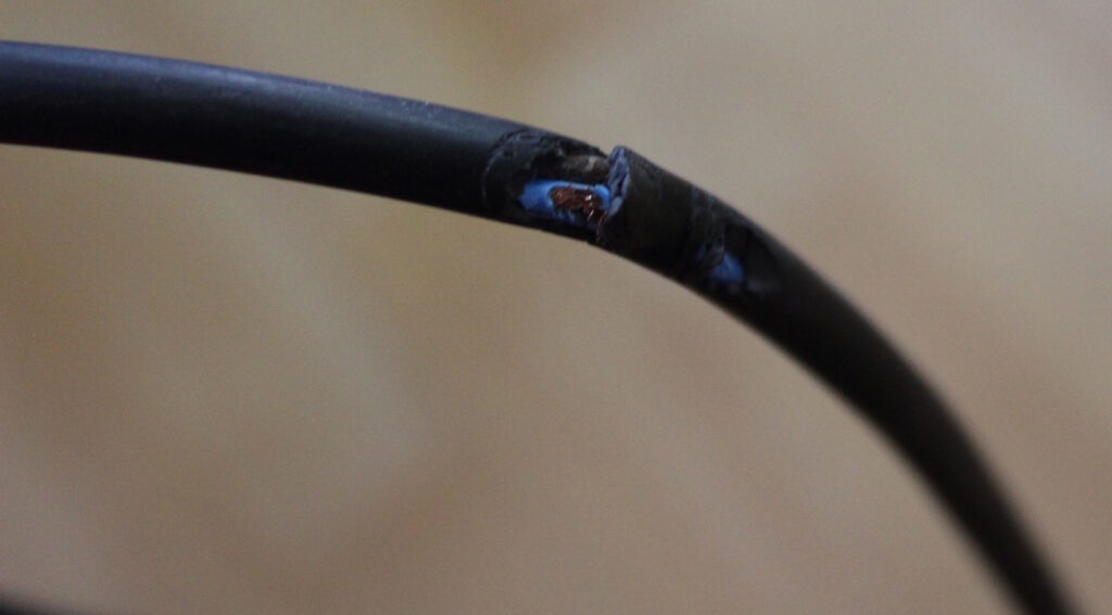 Das Foto zeigt ein angefressenes Kabel